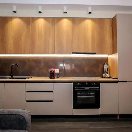 Miku Apartment- Exclusive 1 Bedroom At Komuna E Parisit 公寓 地拉那